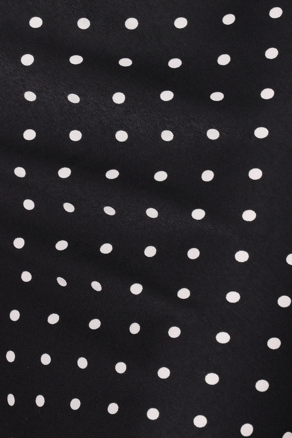 Ailbhe Lace Skirt - Black Polka Dot