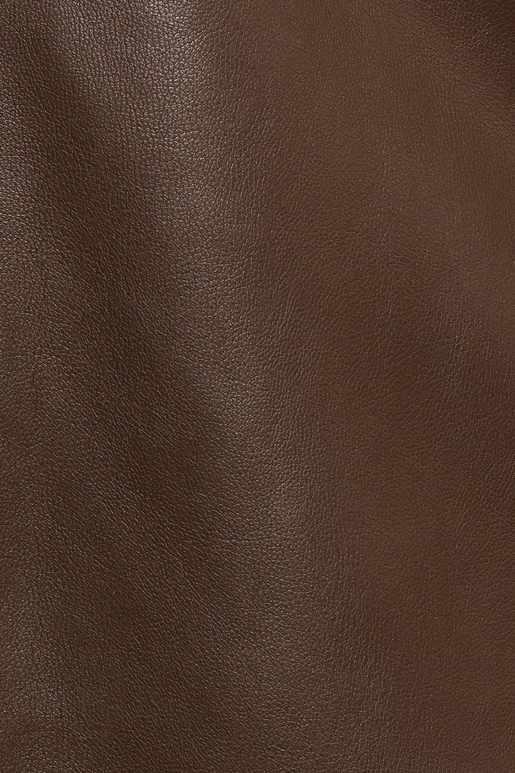 Haelee Faux Leather Skirt - Brown
